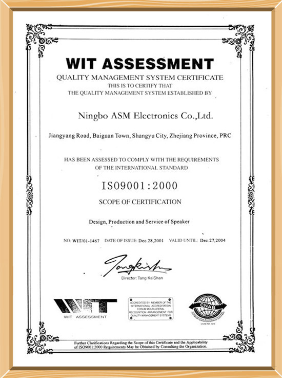 WIT ASSESSMENT